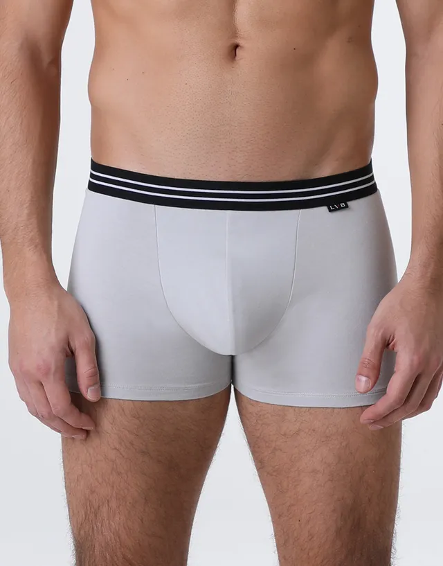 Lovable Basic Multipack boxer x2 grigio ghiaccio cotone